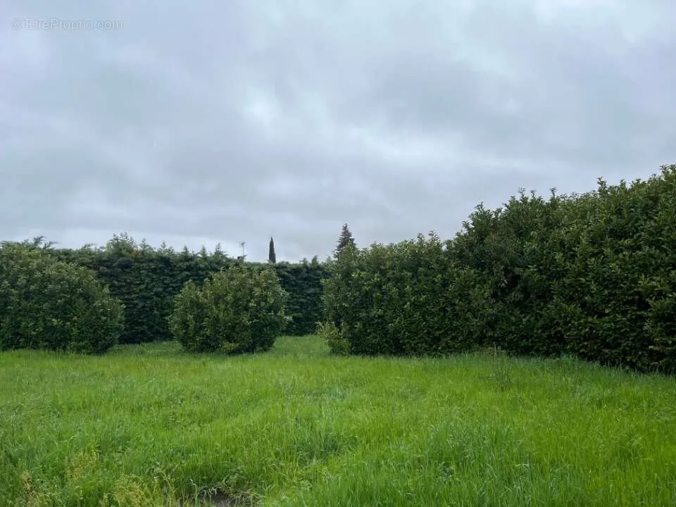 Jardin - Terrain Viabilisé avec Jardin à Loriol-sur-Drome