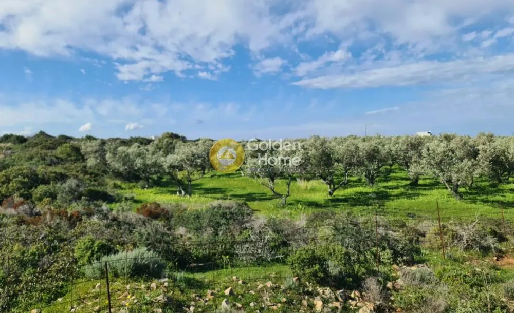 Aed - Buildable Plot with Sea View in Stavros, Chania