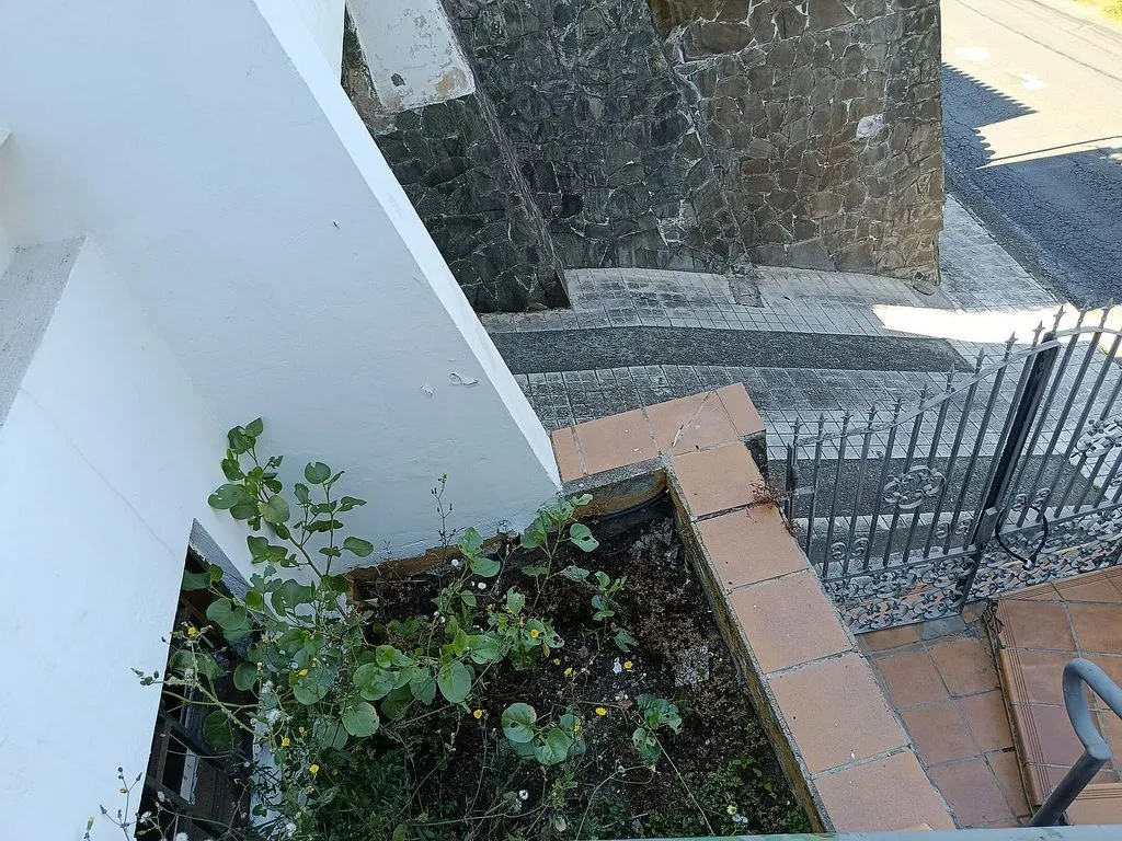 Toad - Triplex for Renovation with Garden in Tafira