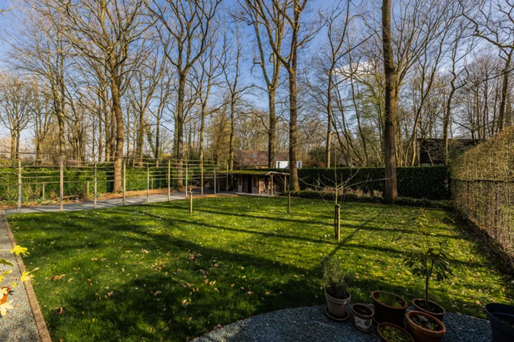 garden