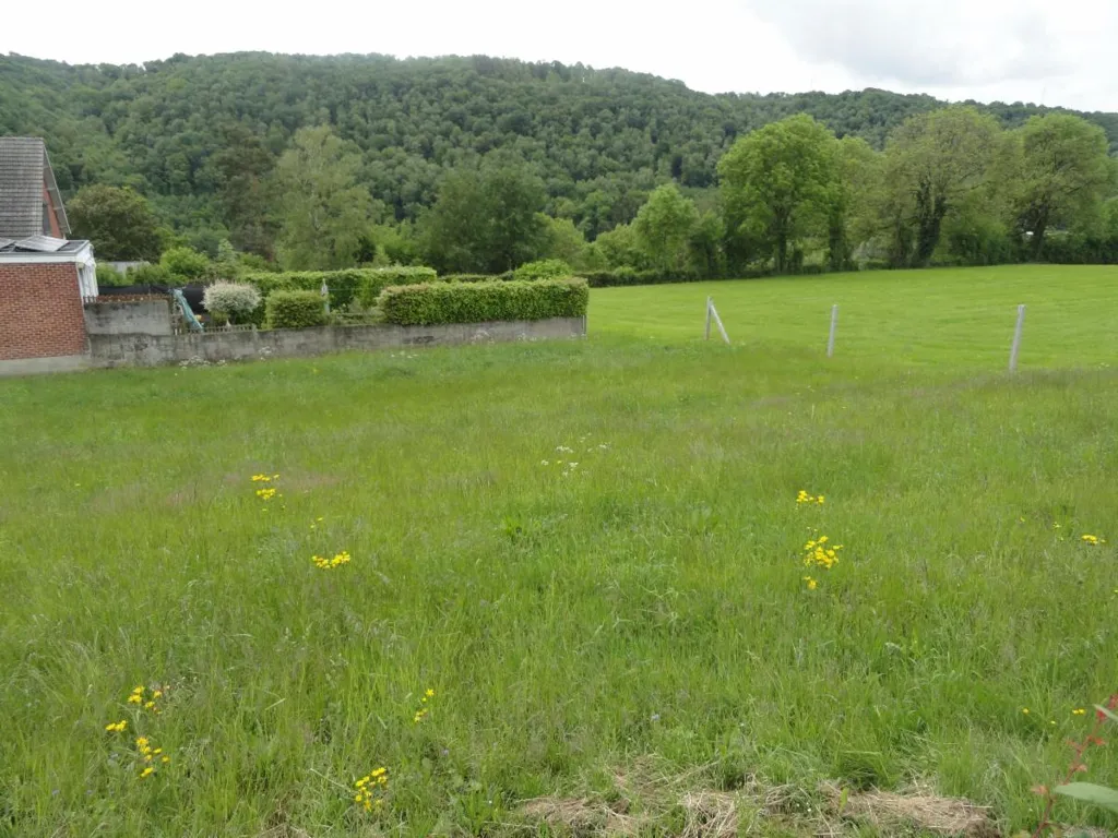 Jardin - Terrain à Bâtir Calme avec Vue sur la Vallée de la Vesdre