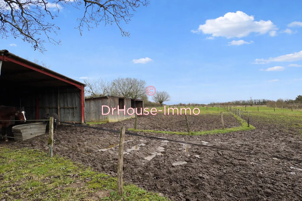 Garden - Charming Longère with Equestrian Facilities in Manthelan