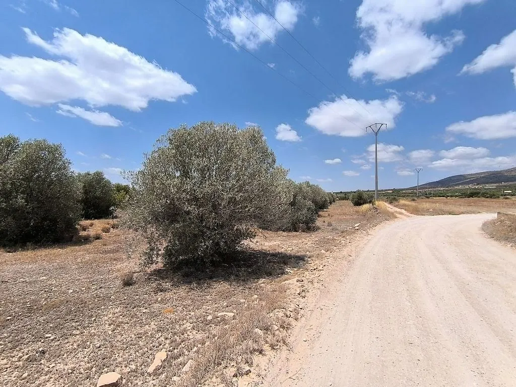 Aed - Rural Chalet with Olive Grove in Caudete