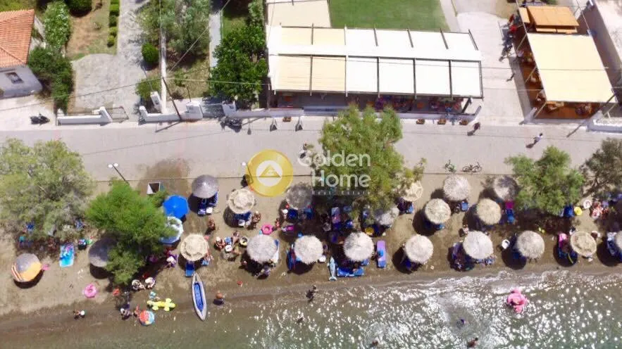 Vue aérienne - Restaurant with Seafront in Almyropotamos