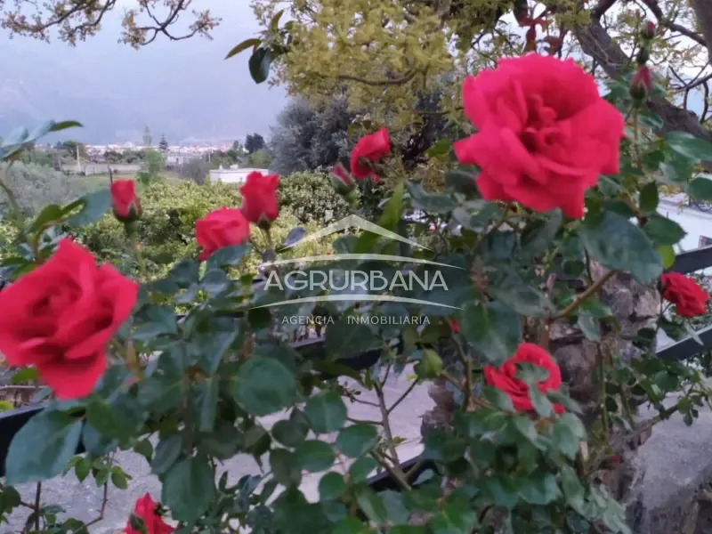 Aed - Rustic Farmhouse with Fruit Trees in Órgiva