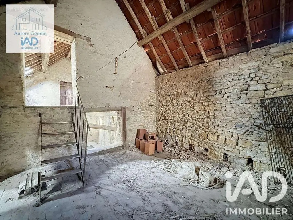 Toad - Former Forge with Apartment in Saint-Pierre-Le-Moutier