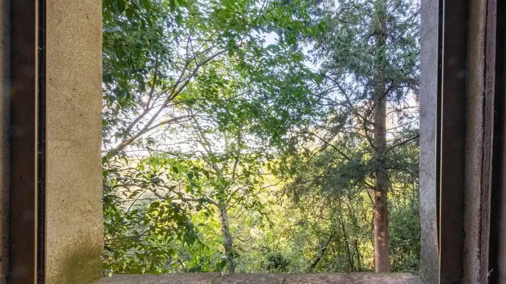 Toad - Rustic Cottage with Terrace near Monteriggioni