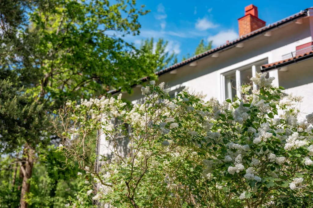 Extérieur - Compact Two-Bedroom in Central Lidingö