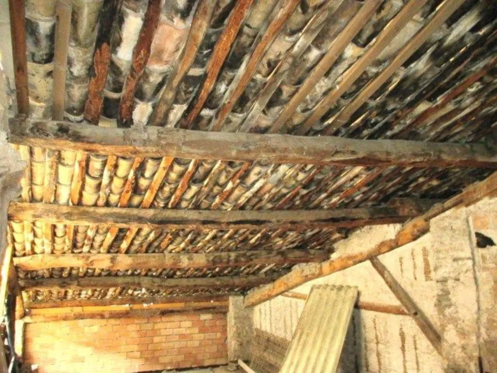 Toad - Historic Town House with Stables in Abizanda-Naval