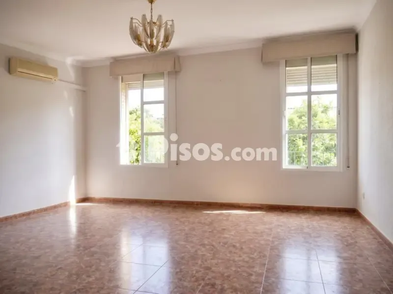 Toad - Apartment with Exterior Views in Triana