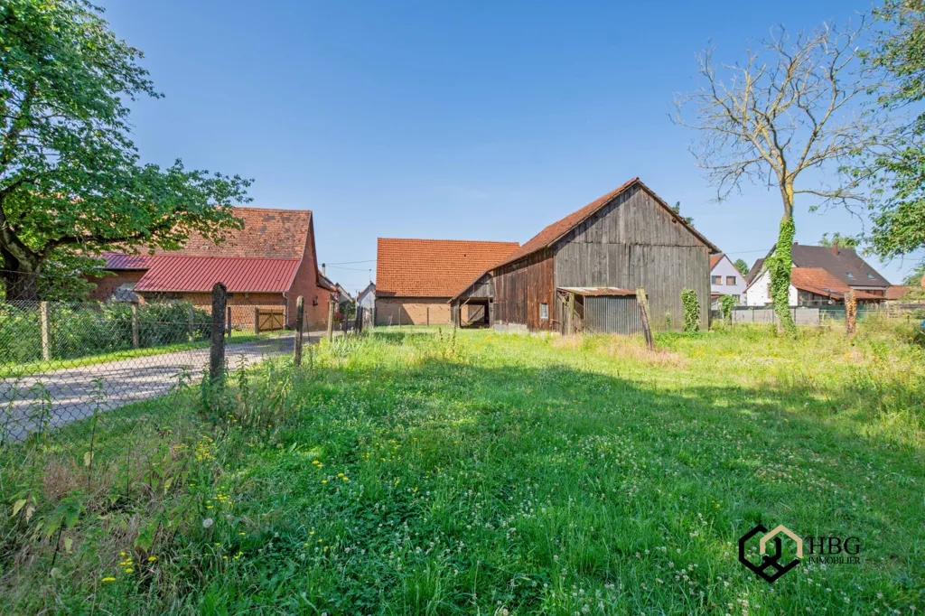 Aed - Traditional House with Granges in Rittershoffen
