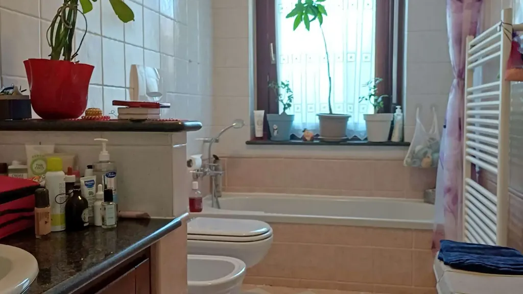 Salles de bain - Ground Floor Apartment with Private Garden in Cirie'