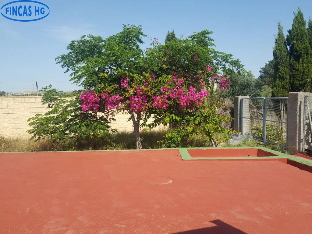 Piscine - Luxury Villa with Pool in Alicante