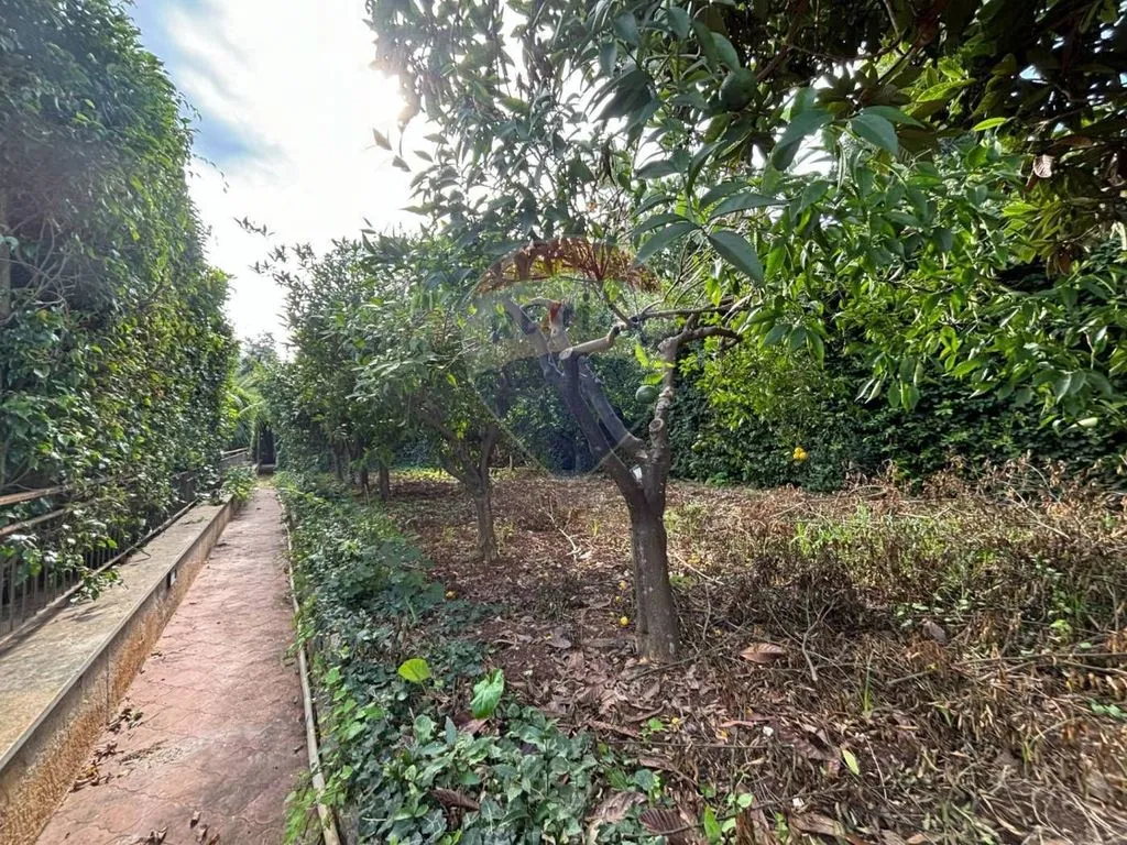 Aed - Luxury Villa with Pool in Mondello, Palermo