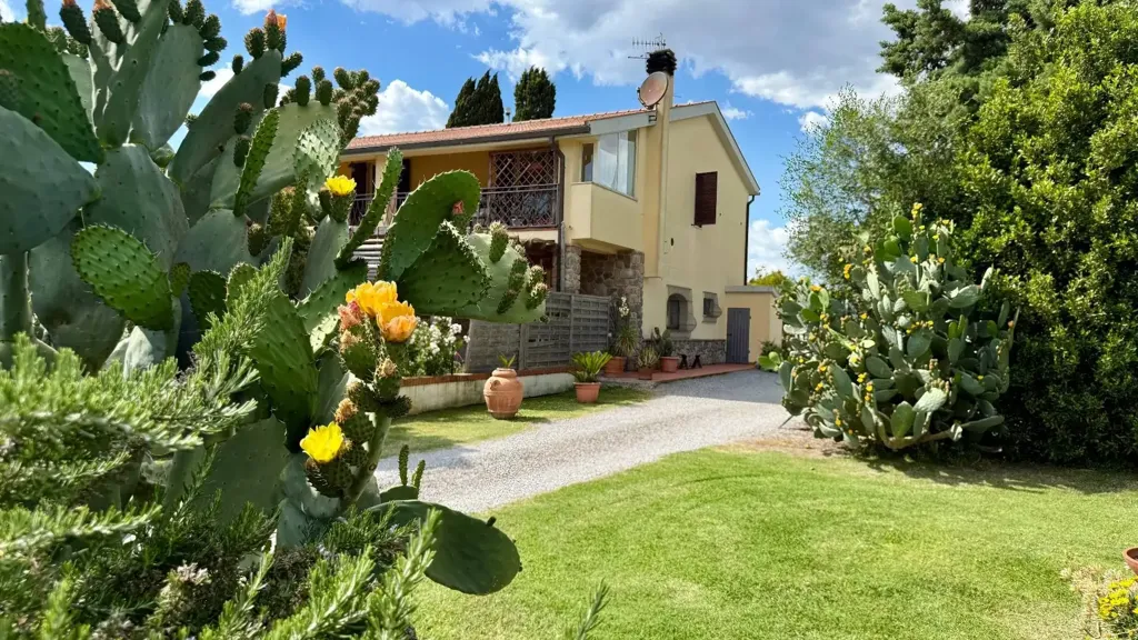 Aed - Rustic Casale with Olive Grove near Orbetello