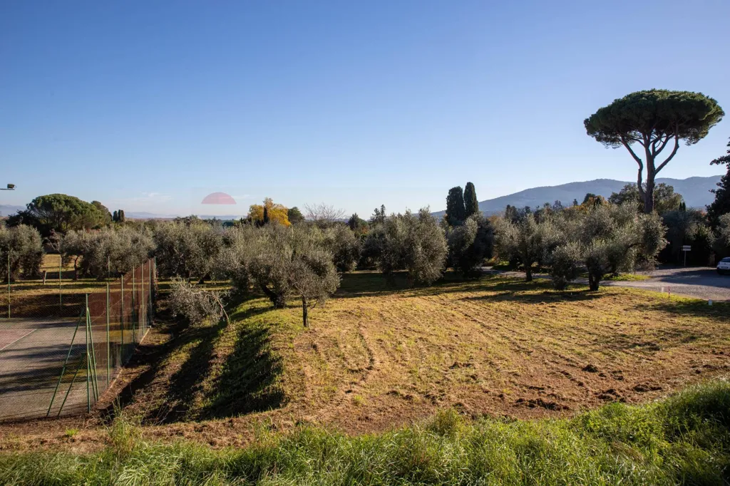 Jardin - Rustic Casale with Tennis Courts near Lucca