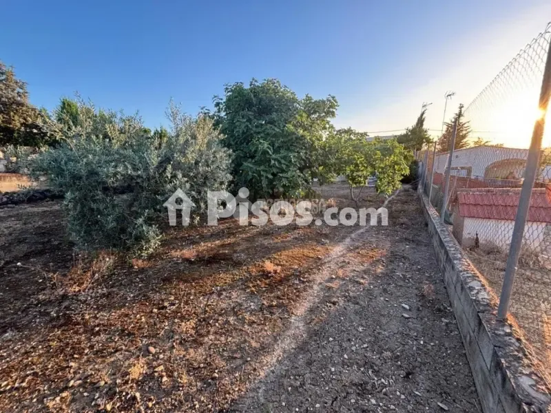 Jardin - Rustic House with Pool in El Campillo