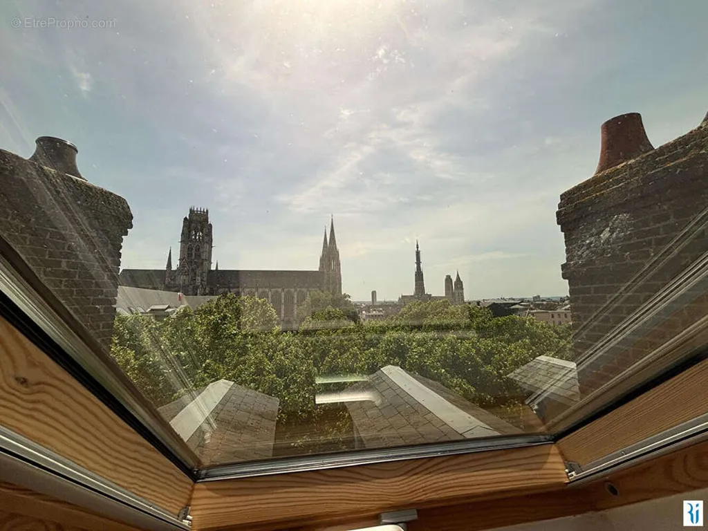 Toad - Atypical Flat with South-Facing View in Rouen