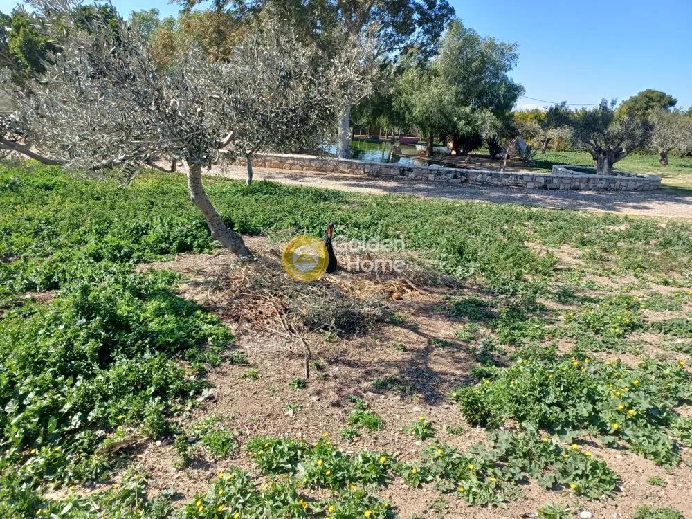 Aed - Agricultural Plot with Panoramic View in Loutraki