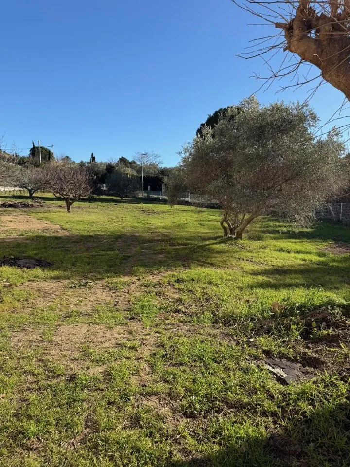 Aed - New Build House with Garden in Istres