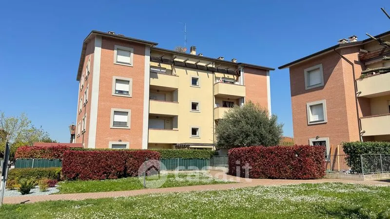 Jardin - Triplex with Terrace in Medicina