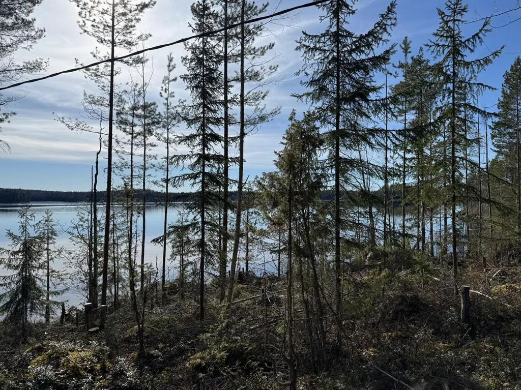 Aed - Lakefront Plot with 81m Rive in Päijänne