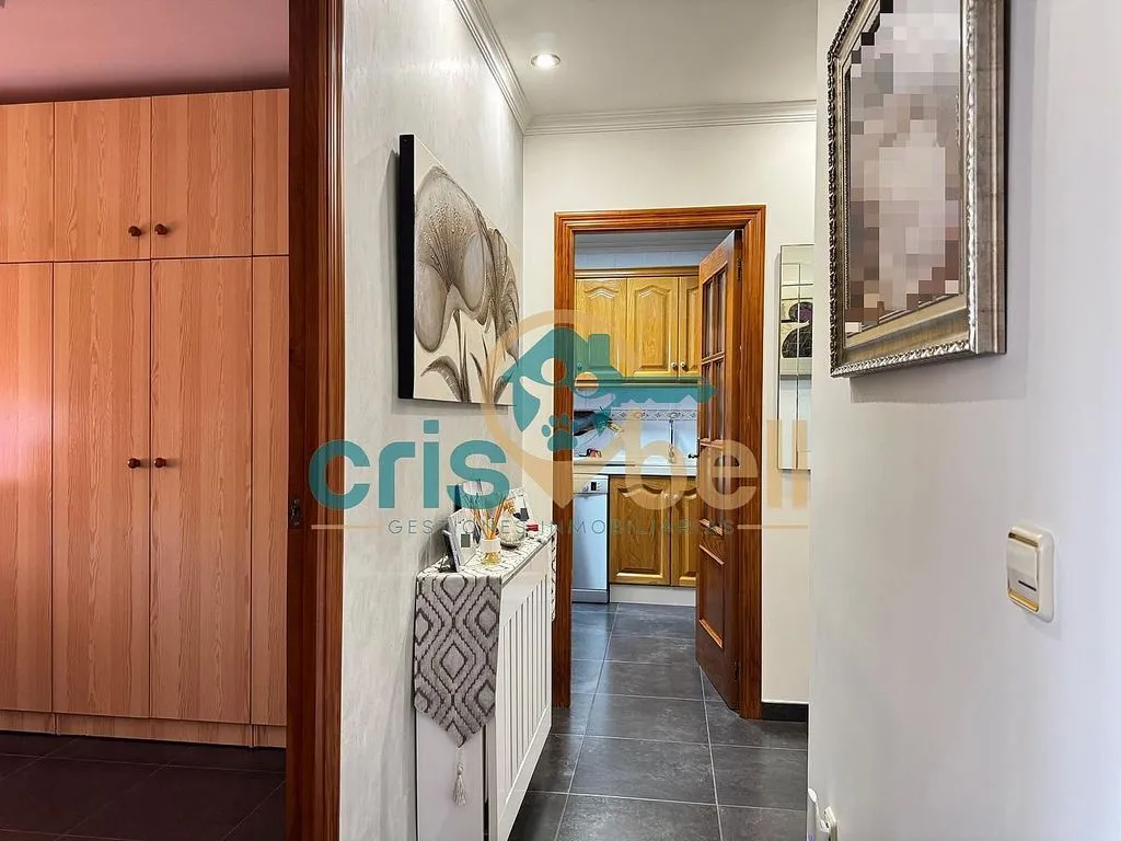 Esik - Spacious Apartment with Terrace in San Cristóbal