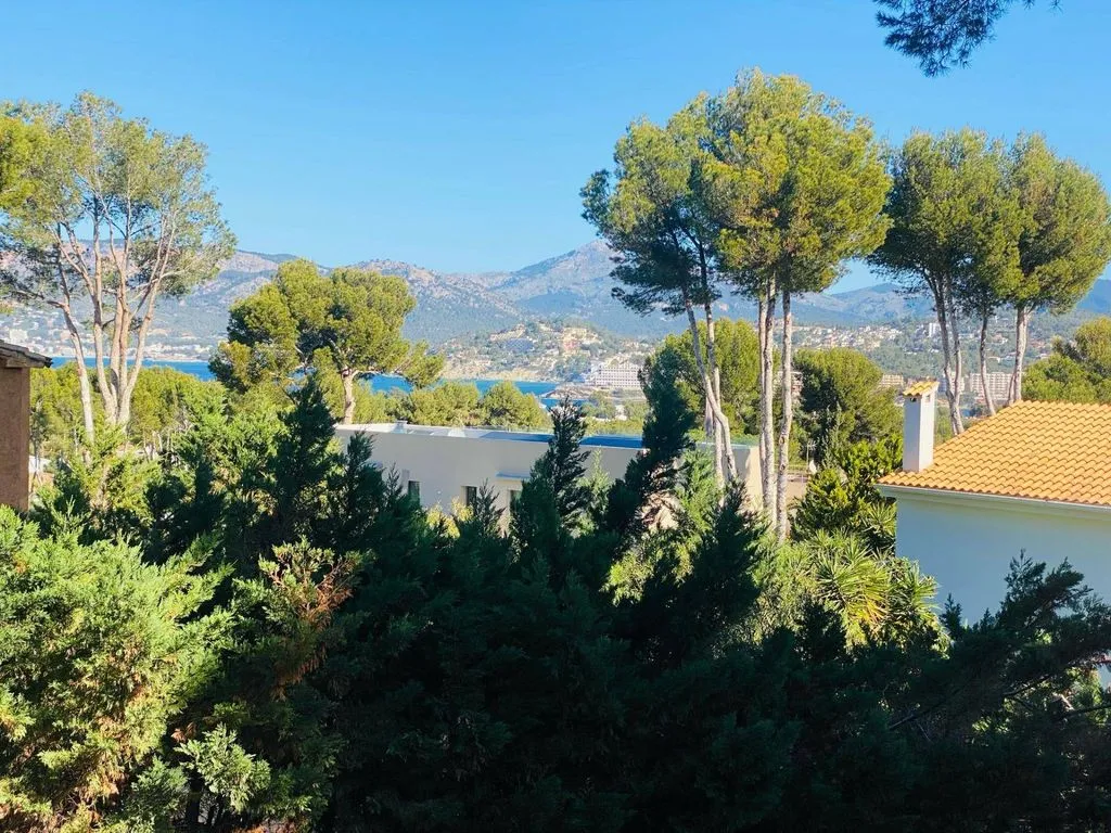 Jardin - Luxury Villa with Designer Pool in Nova Santa Ponsa
