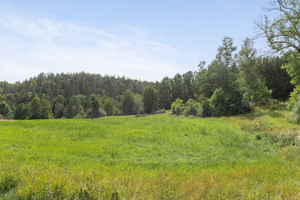 Aed - Unbuilt Plot with Forest in Östergötland