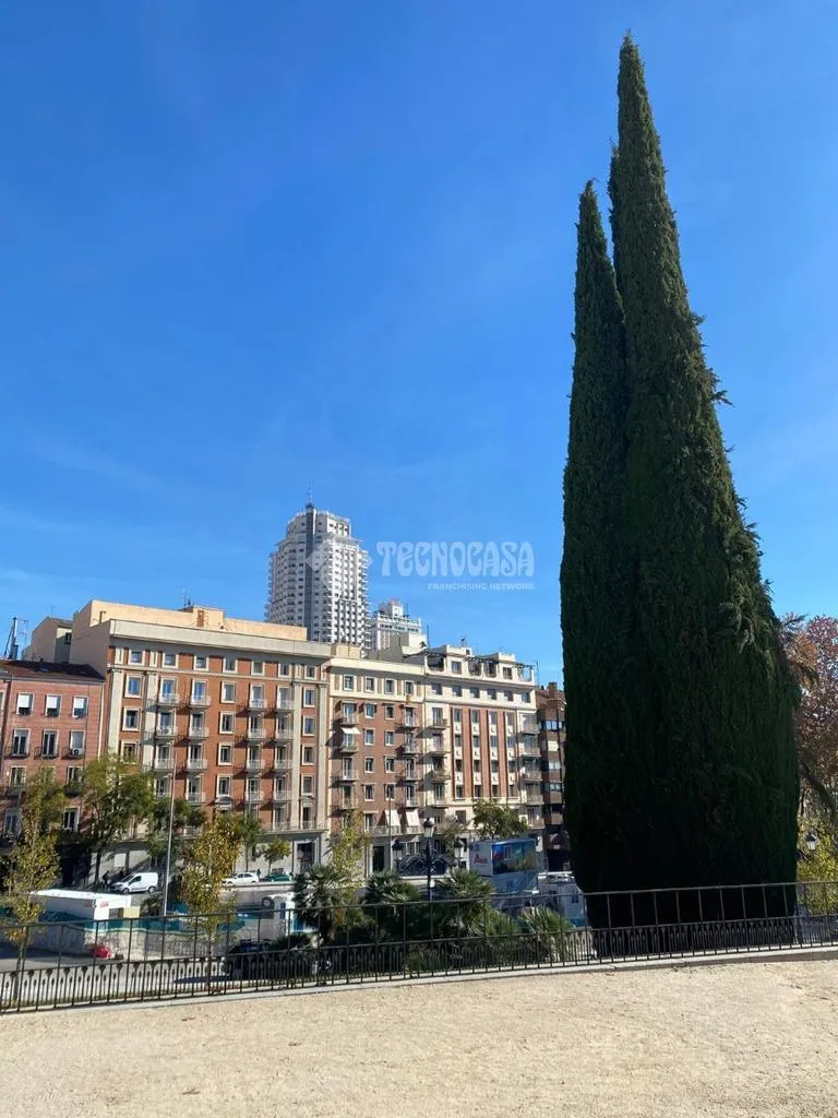 Commercial Property with Lottery Office in Madrid