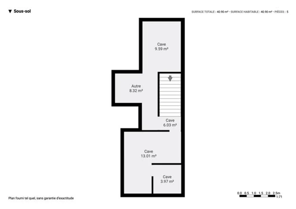 Plaan - Renovated Master House with Cellar in Semi-Detached Setting