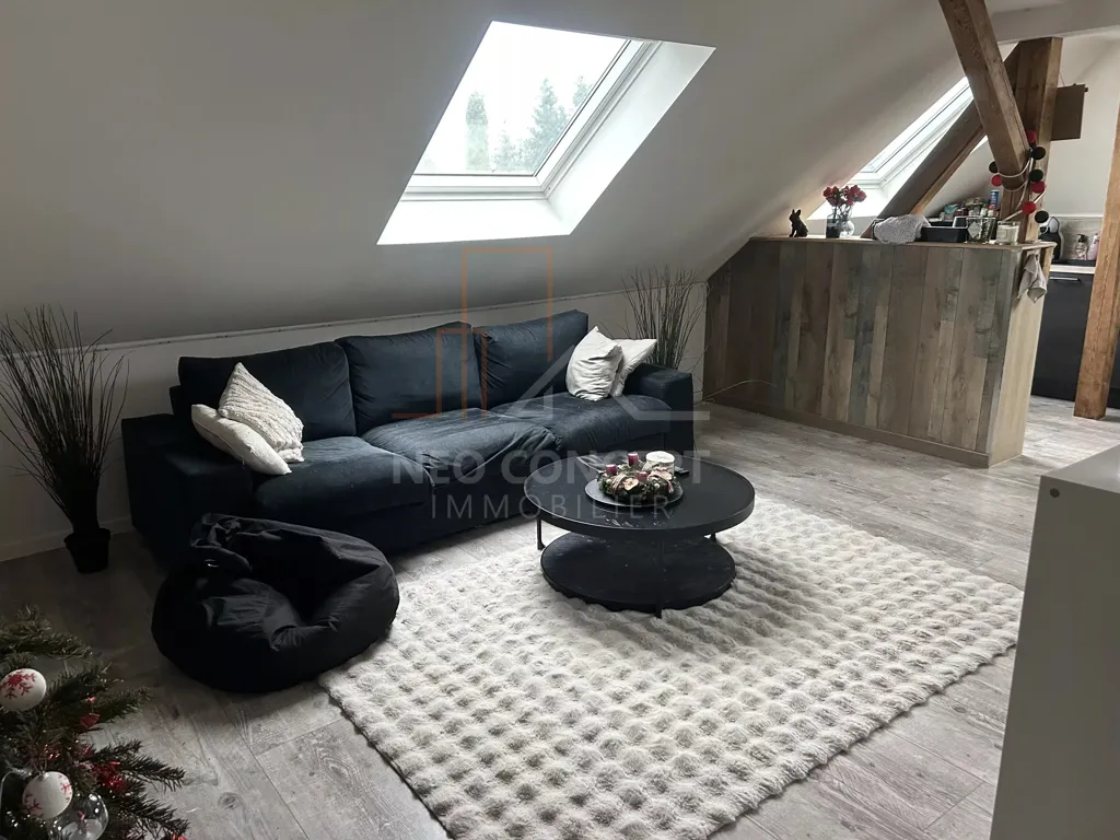 Soggiorno - Renovated 3-Bed Apartment in Betschdorf