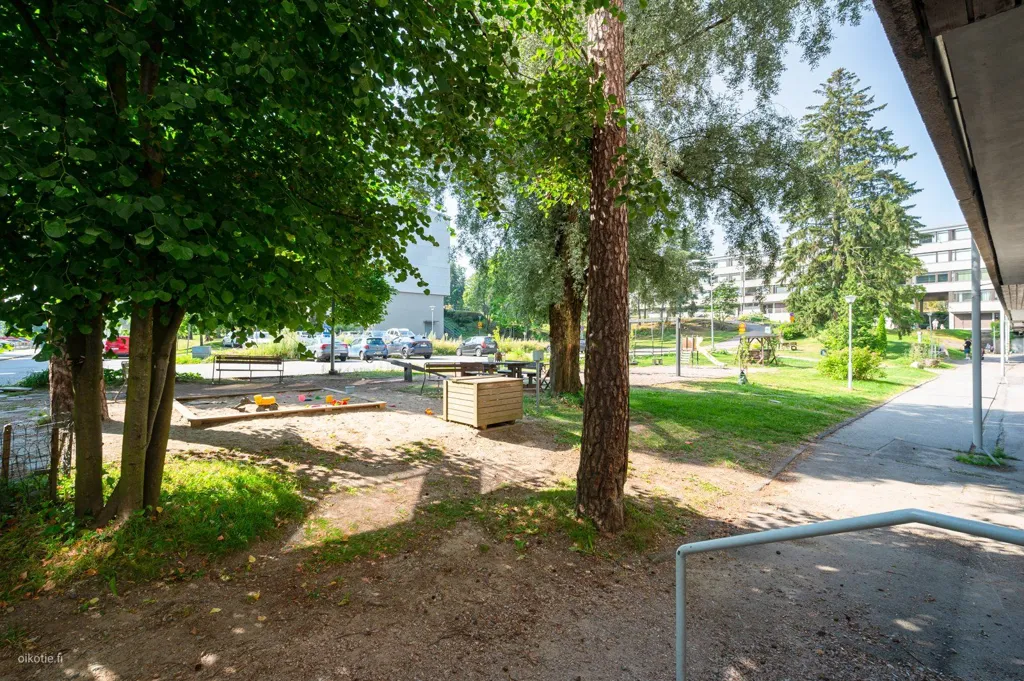 garden
