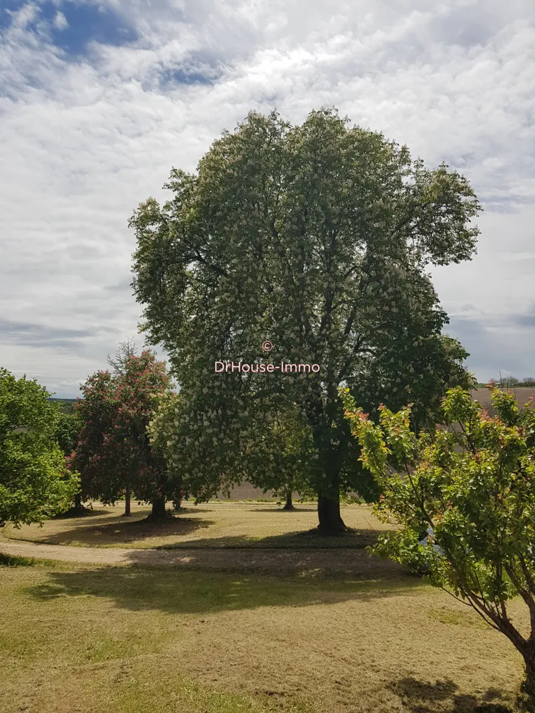 Aed - Stone House with Panoramic Views in Mensignac