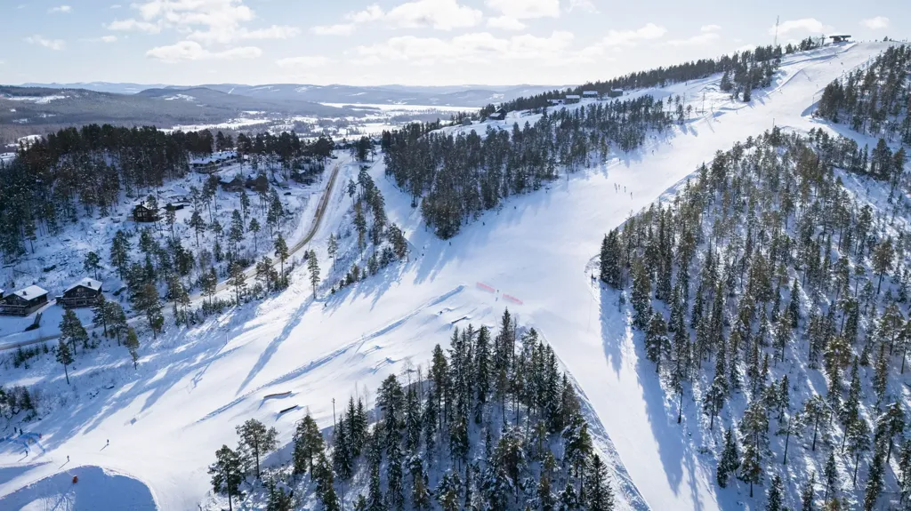 Buildable Plot with Ski Access in Järvsö