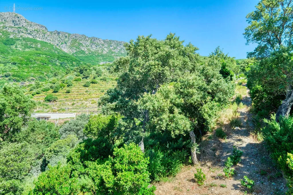 Aed - Constructible Plot with Sea and Mountain Views in Bastia