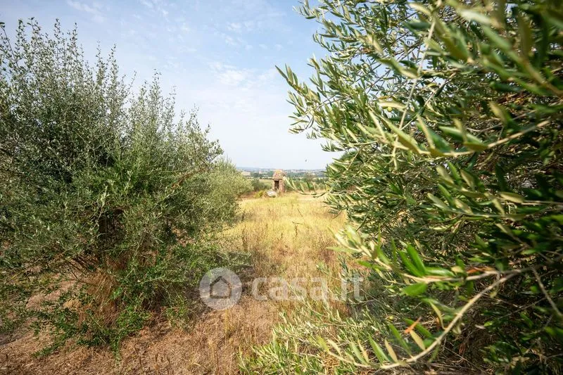 Aed - Rustic Casale with Olive Grove in Occimiano