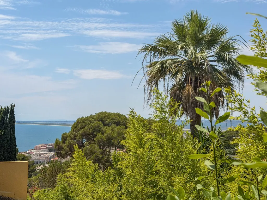 Jardin - Maison à Rénover avec Vue Mer à Saint-Clair Sud