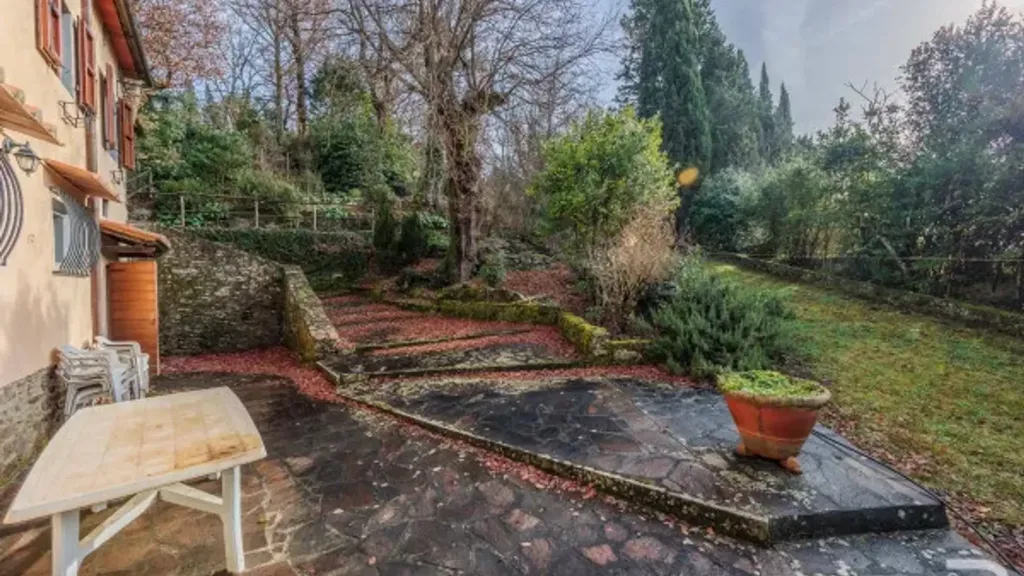 Jardin - Rustic House with Olive Grove in Selvapiana