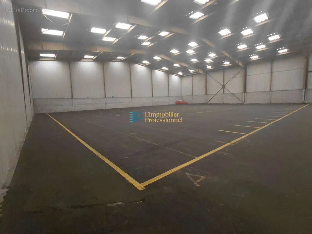 Toad - Warehouse with 1200 m² Leased Space in Concarneau