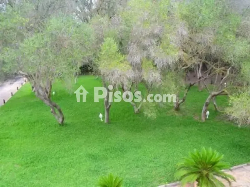 Aed - Rustic Finca with Pool in Algaida