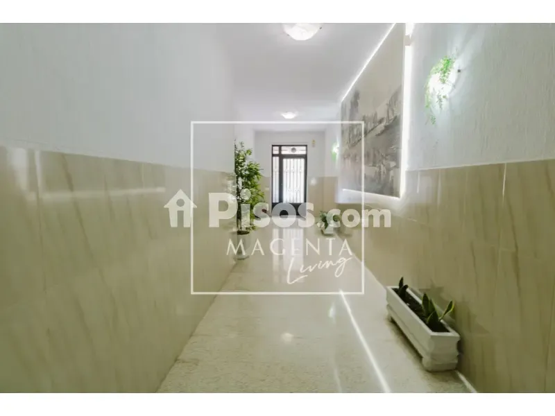 Esik - Bright Studio with Balcony in Murillo Street