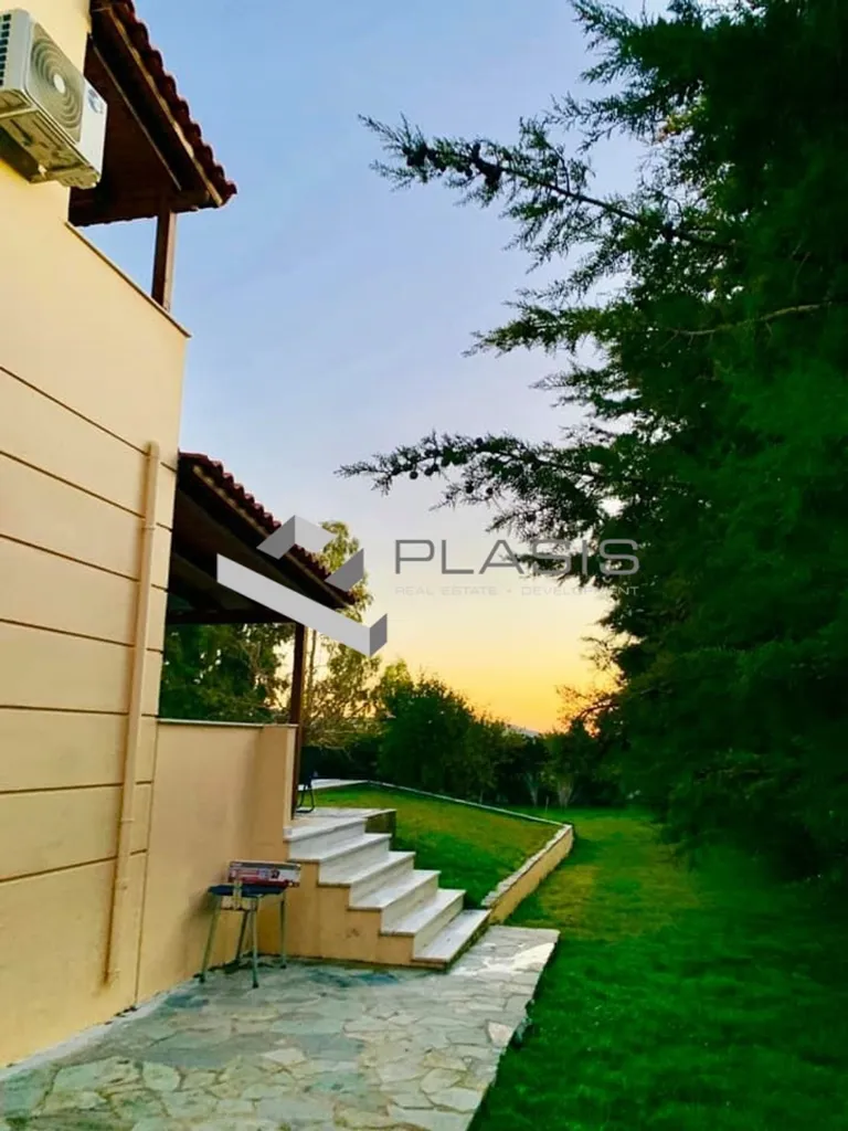 Terrace - Detached House with Pool in Anavyssos