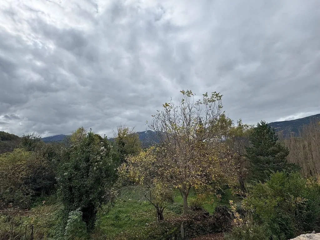 Aed - Ancient Borda with South Views in Bisaurri