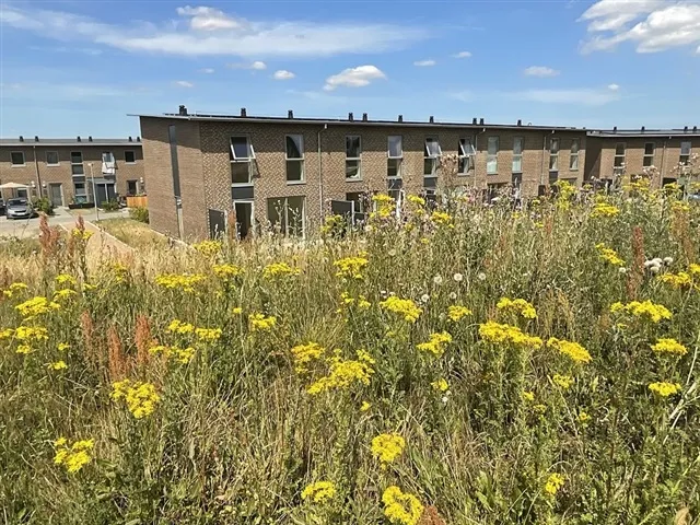 Jardin - Apartment with Private Terrace in Munkdrup