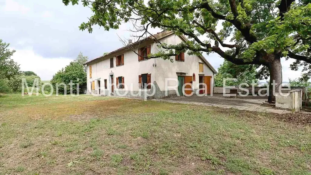 Extérieur - Rustic Farmhouse with Vineyard View in Strevi