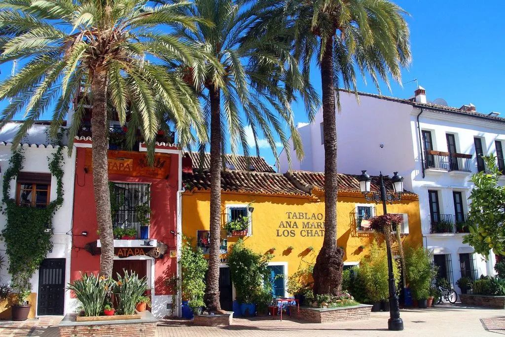 Luxury Villa with Infinity Pool in Nueva Andalucia