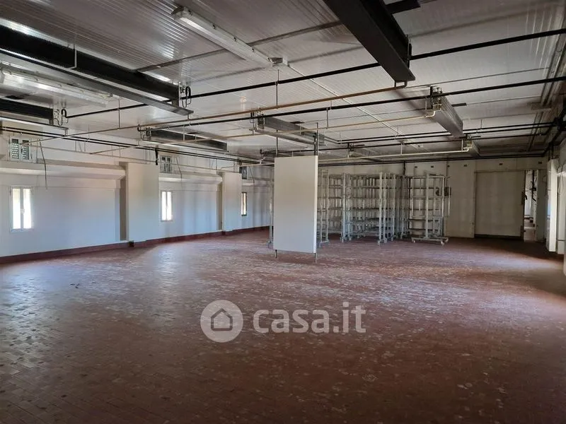 Toad - Mixed-Use Rustico with Industrial Space in Falconara Marittima