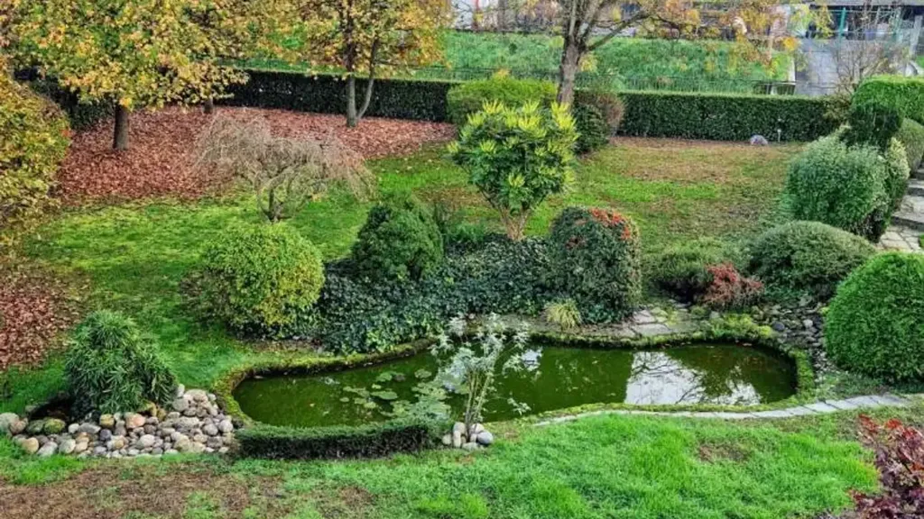 garden
