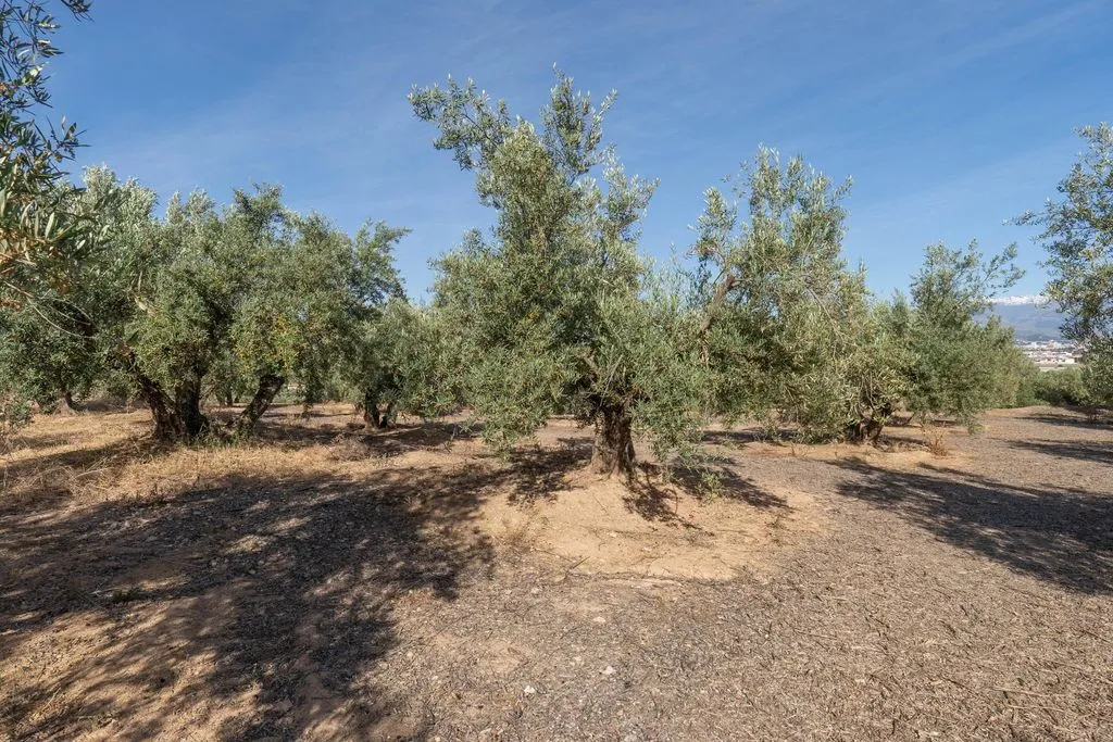 Aed - Buildable Land with Granada Views in Albolote